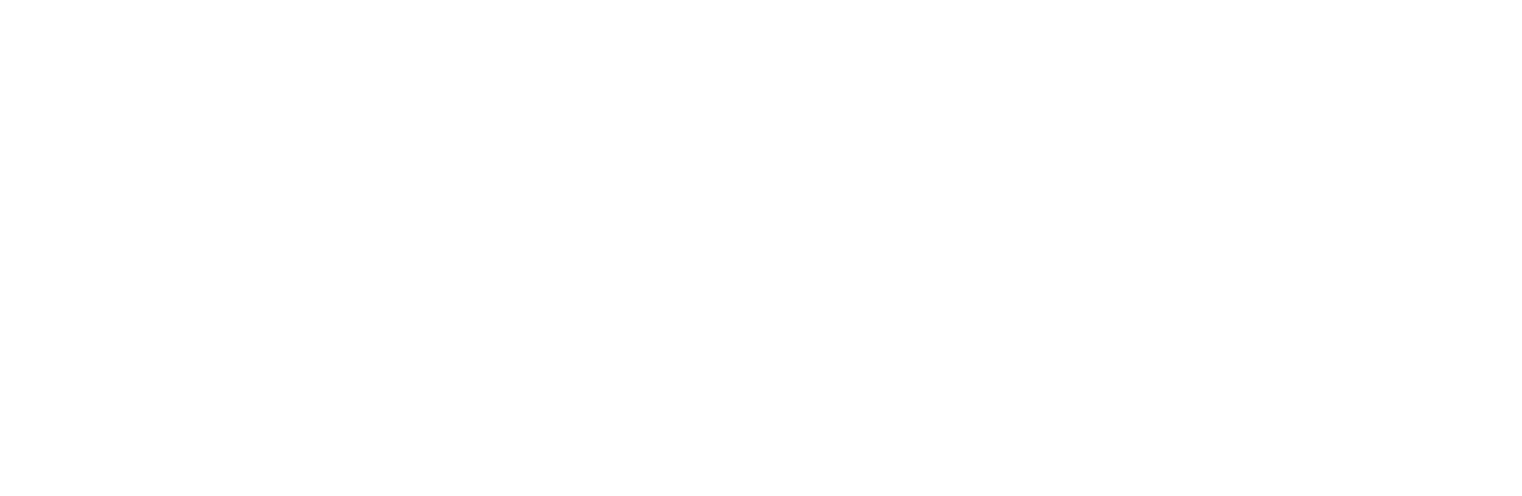 Main Logo